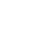 N CPF + Data de Nascimento